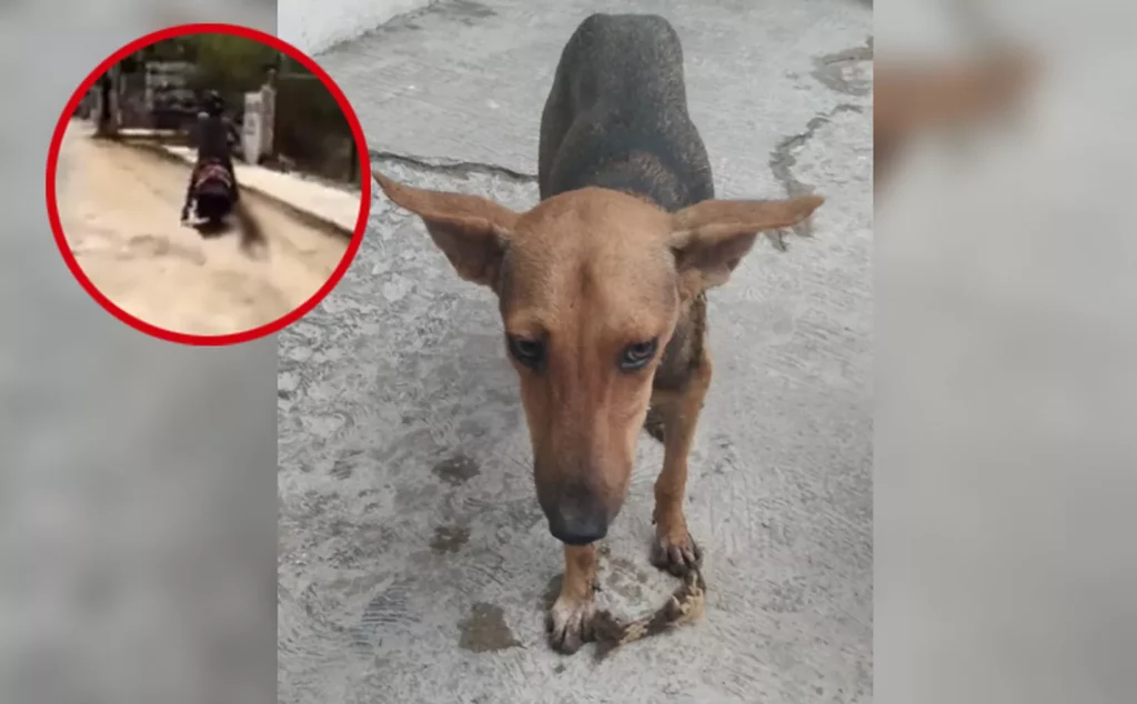 1689954170304
