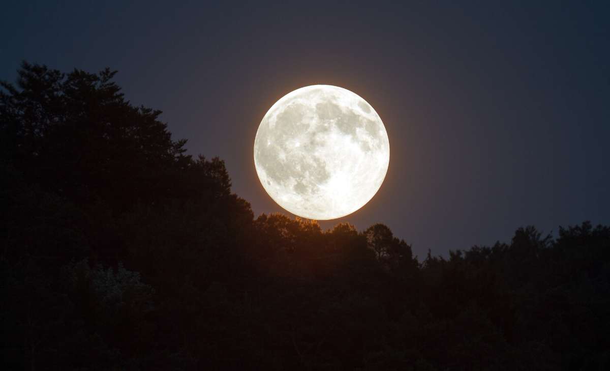 Luna-llena-luna-de-flores-mayo-2025-Foto-Canva