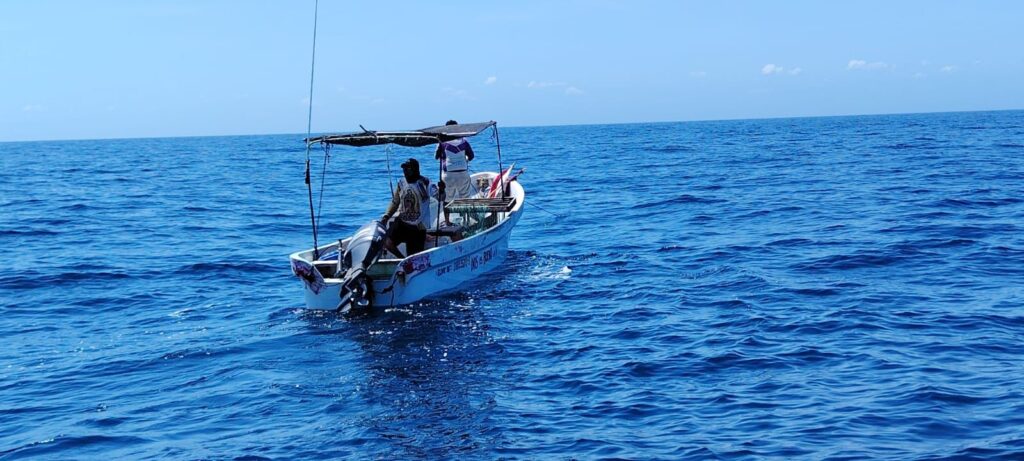 Pesca